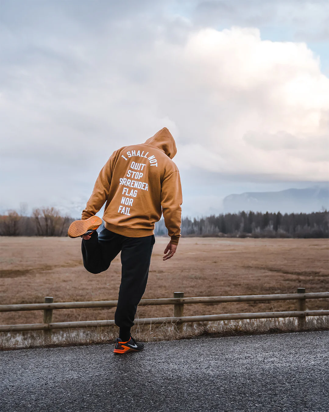 ANTHEM HOODIE - SADDLE/WHITE - Image 3