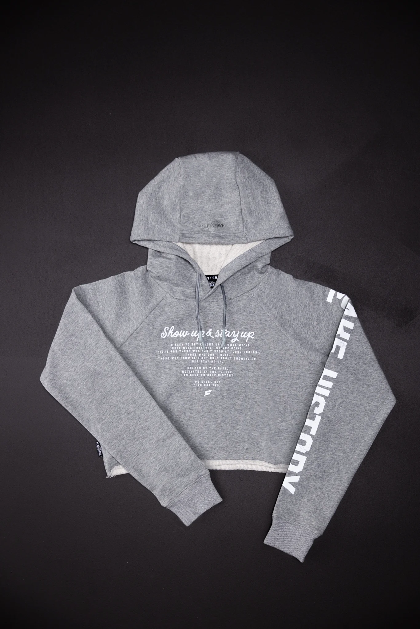 MAKE HISTORY CROP HOODIE - GREY
