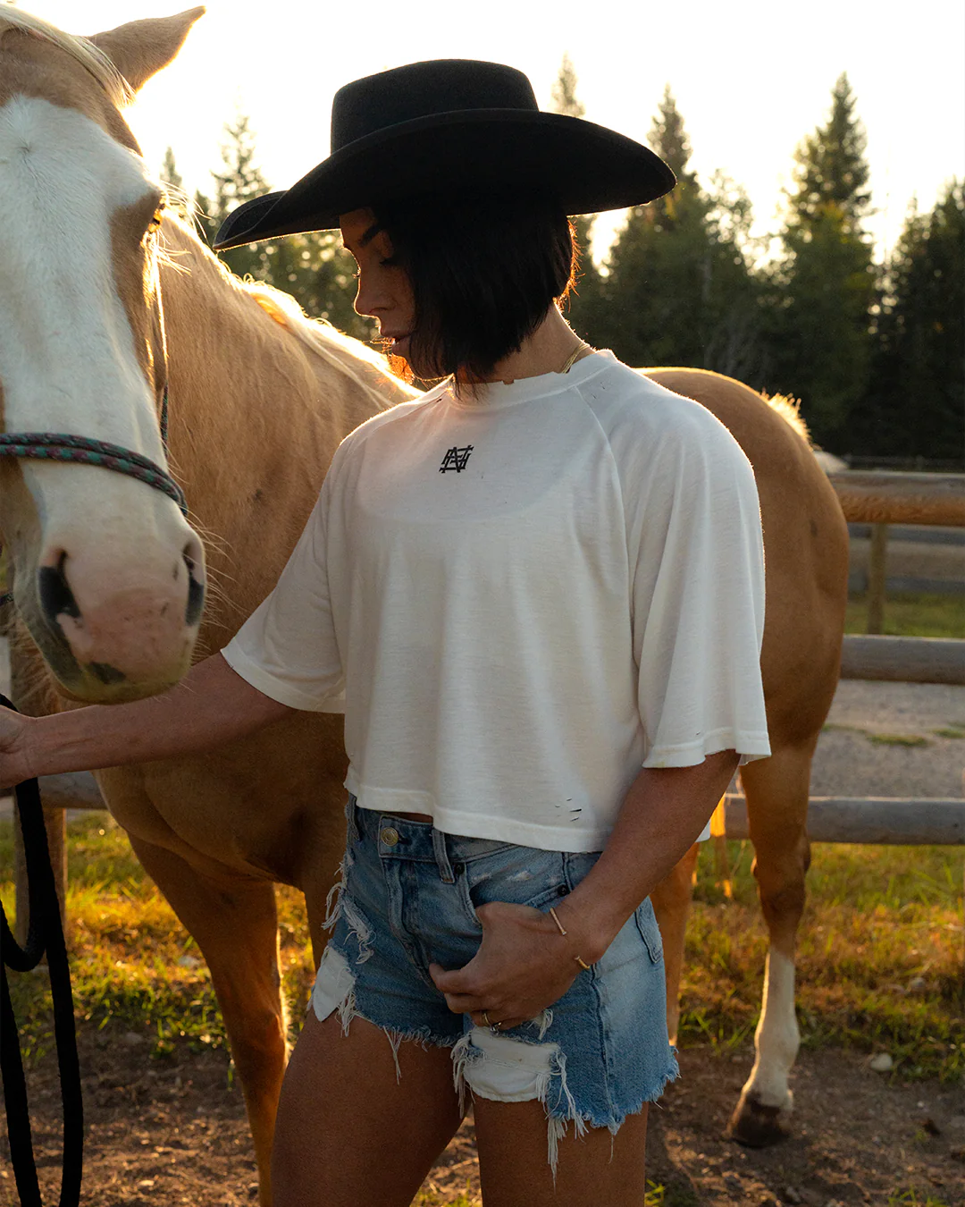 MOTO CROP TEE - WHITE - Image 2